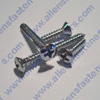 #4 CHROME PHILLIPS OVAL TRIM SCREW