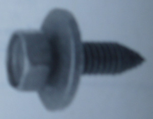 BODY BOLT
