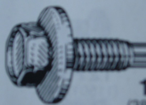 BODY BOLT