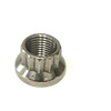 We carry a full line of arp products ready for shipping right away.