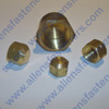 BRASS PIPE CAP