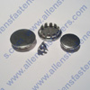 A3752 NICKEL PLATED PLUG BUTTON IS 1/2