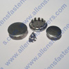 NICKEL PLATED PLUG BUTTON