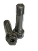 ARP 2000 ROD BOLT