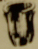 TUBULAR NUT