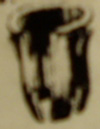 A5195 TUBULAR NUT 1/8 STUD SIZE,FOR 1/4 HOLE.