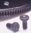 FLEXPLATE BOLT KIT