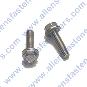 8mm-1.25 STAINLESS HEX FLANGE BOLT