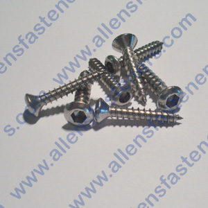 #8 STAINLESS OVAL HEAD ALLEN SHEET METAL SCREW