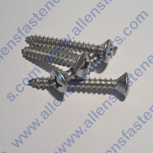 #10 STAINLESS STEEL OVAL PHILLIPS SHEET METAL SCREW